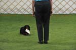 _D704603