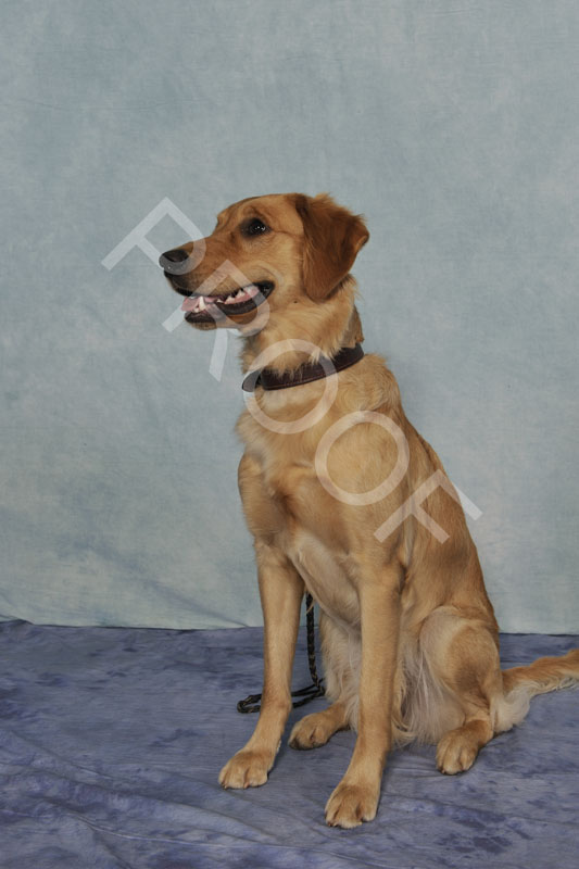 _D701032